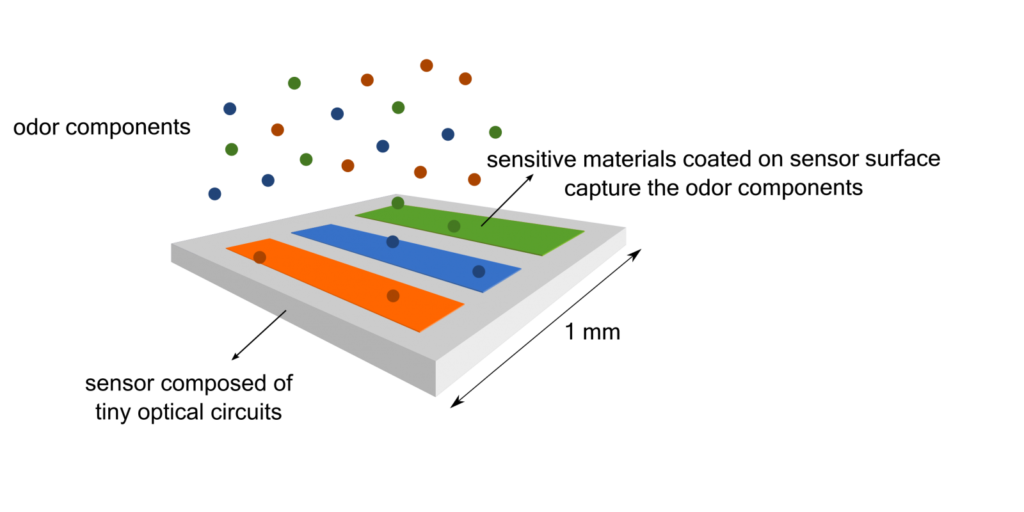 Checkpack Table CheckPack: Making your food packaging intelligent - BioVox