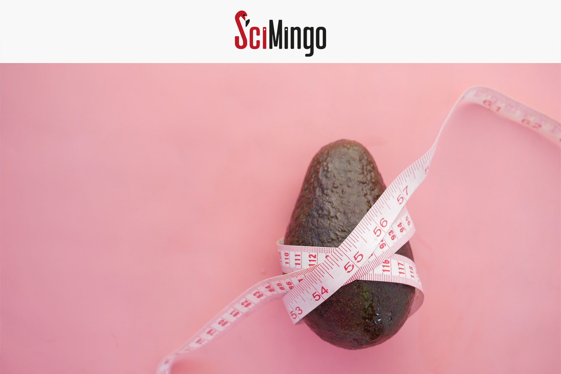 SciMingo logo and avocado with a measuring tape